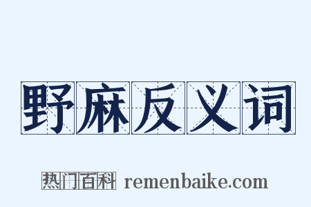 野麻反义词是什么意思的图片
